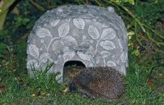 Hedgehog House