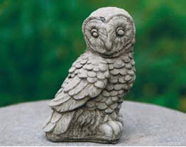 Midi Owl